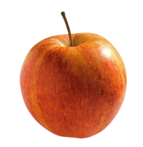 Royal Gala Apfel