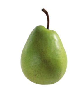 Alexander Lukas Birne