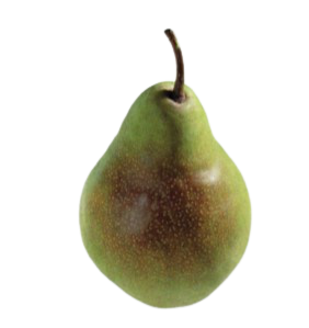 Köstliche von Charneux Birne